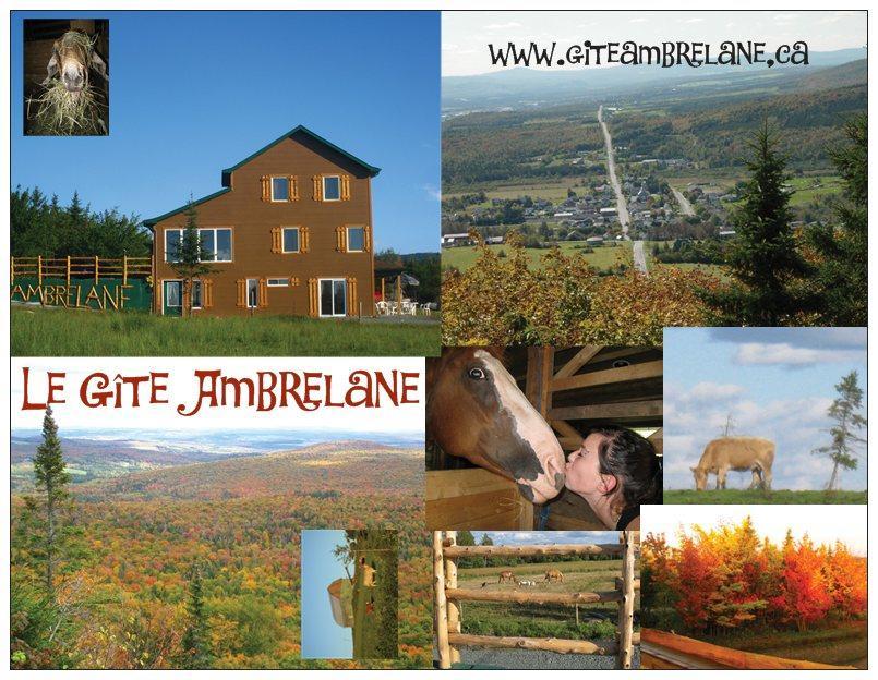 Le Gite Ambrelane Thetford Mines Exterior foto