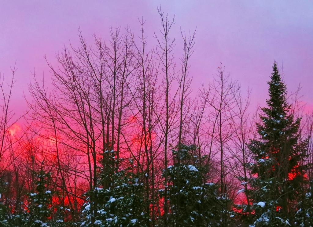 Le Gite Ambrelane Thetford Mines Exterior foto